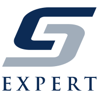Expert Systems Limited